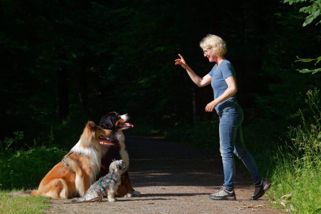 Mit Hunden Kommunizieren